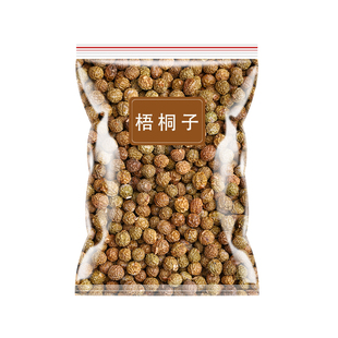 梧桐子梧桐树籽中药材正品新鲜干货非500g包邮梧桐籽瓢儿果桐麻豌