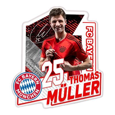 冰箱贴磁吸FC拜仁周边