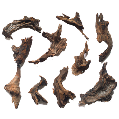 紫柚插花小型躲避微景观免煮沉木