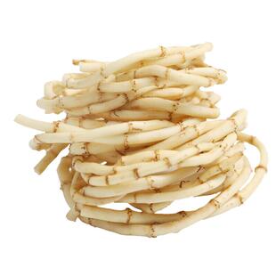 新根鱼腥草新鲜折耳根嫩根4斤四川贵州鱼星草节儿尔根凉拌菜