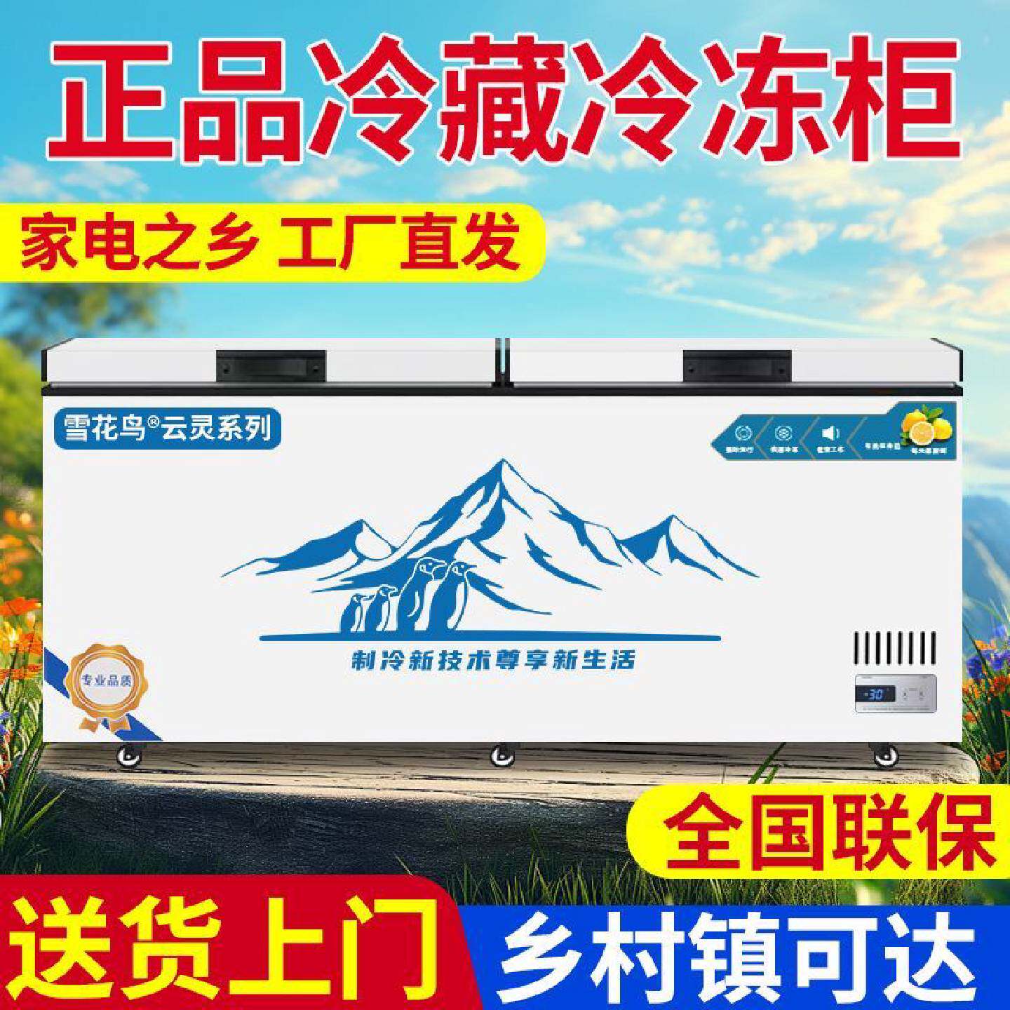 冰柜单温双温家用商用大容量冷藏冷冻两用冰柜铜管节能卧式展示柜