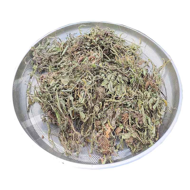 野生车前草泡茶干货新鲜纯天然整株车前草茶尿高酸特级金钱草花茶