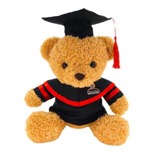 毕业公仔小熊兔子学士服玩偶硕士毕业娃娃博士帽大学礼物定制LOGO