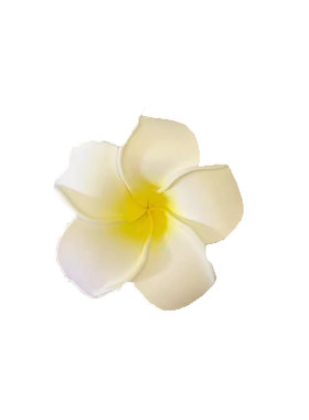 甜美森系鸡蛋花发夹侧边夹
