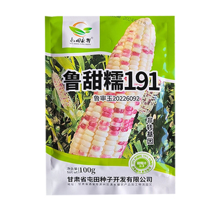 屯田鲁甜糯191玉米种子甜糯比1:3紫白花粒非转基因彩甜糯玉米种籽