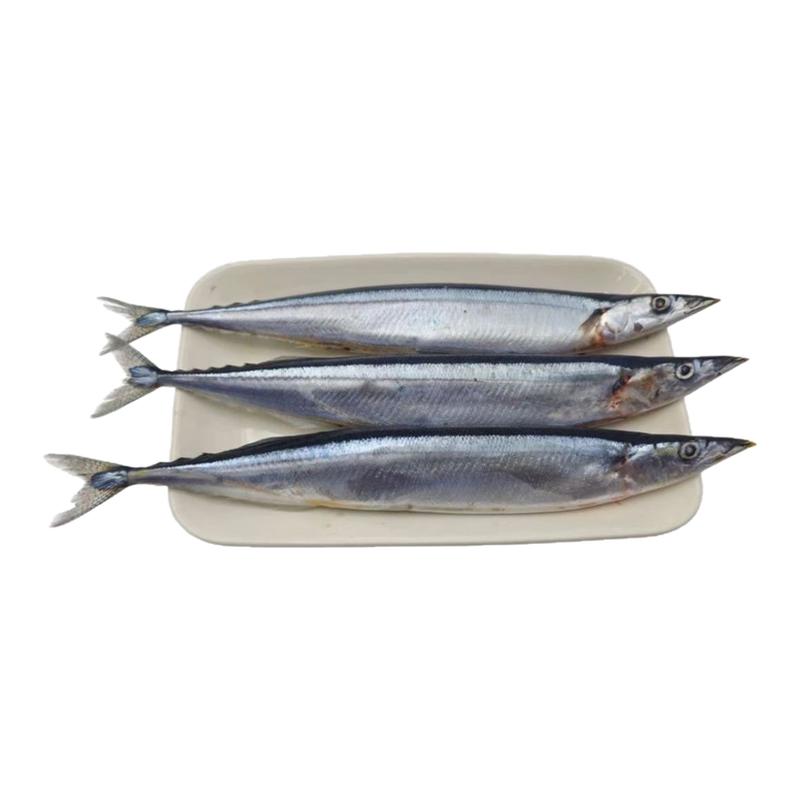 新鲜秋刀鱼冷冻特大号日式料理烧烤海鱼食材海鲜水产商用批发