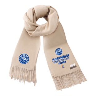 2025苏超江苏城市足球联赛南通苏州南京徐州队围巾男保暖围脖披肩