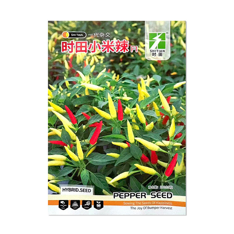 时田小米辣椒种子小米椒