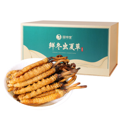 【头茬】国坤堂新鲜野生冬虫夏草