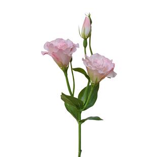 仿真花3头洋桔梗花绢花假花家居样板间桌面软装婚庆摄影道具花卉