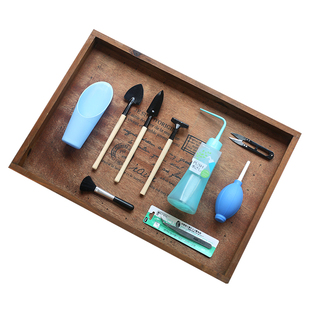 壹分皿 多肉植物种植工具套装新手多肉套装组合园艺工具组合套装