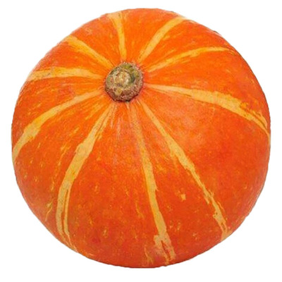 寿光黄皮小南瓜种子籽北方南方用