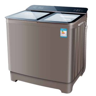 扬子双缸洗衣机半自动20KG大容量全铜双电机强劲动力家用