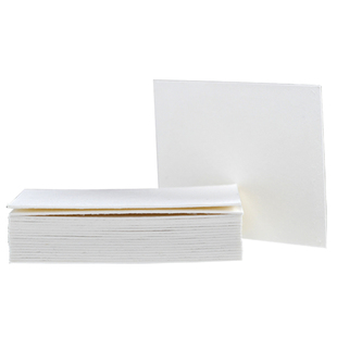 Western转印转膜湿转滤纸适用伯乐/天能/六一Thermo转印槽1703932