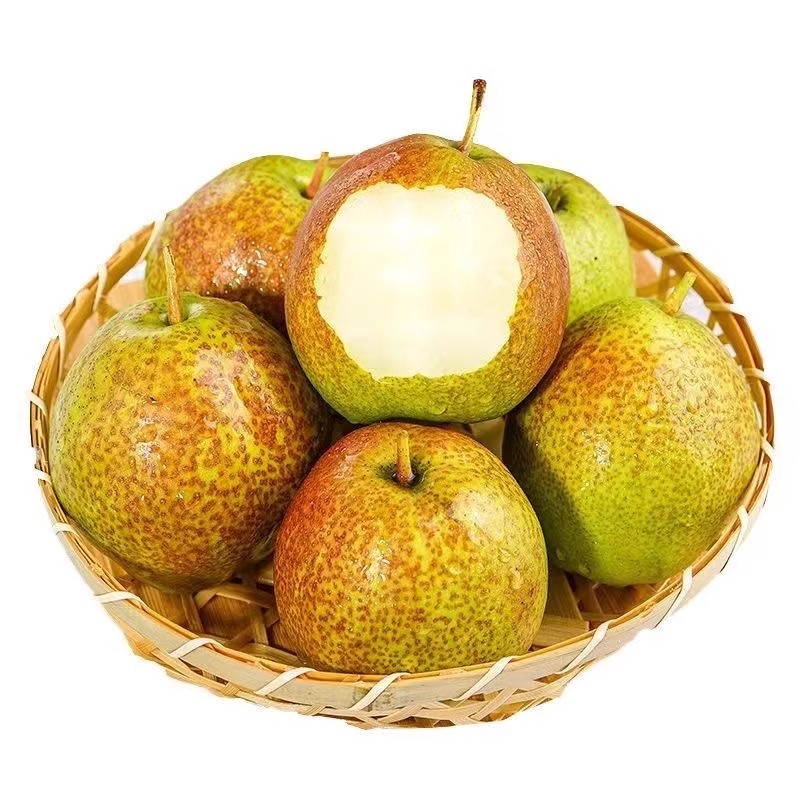 山西正宗玉露香梨旗舰店新鲜应季水果梨子整箱顺丰礼盒青皮10斤