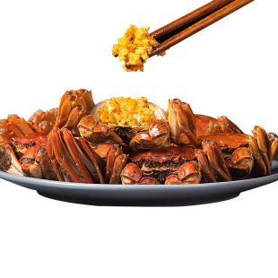 【活蟹净重】轻奢精品红膏 太湖大闸蟹鲜活现货螃蟹公母年货礼盒