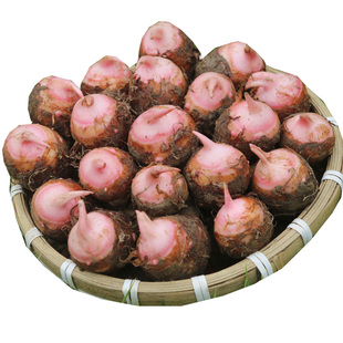 现挖红芽芋头新鲜正宗小芋头香糯毛芋艿芋香芋大果毛芋仔广西荔浦