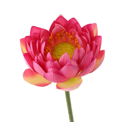 新中式仿真荷花莲花摆件拍摄道具