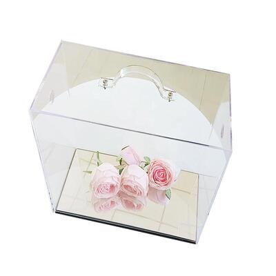 DIY发财树有钱花材料包