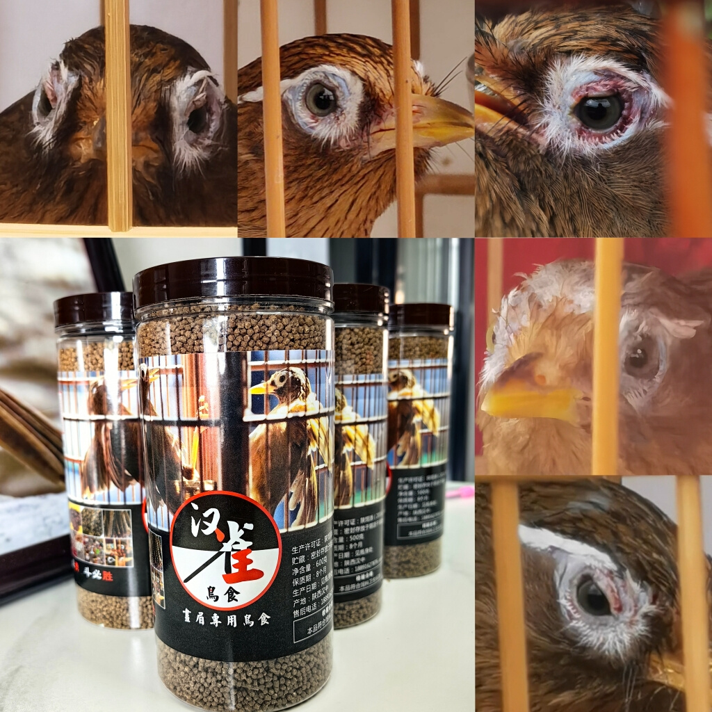 汉雀王68元精品画眉鸟食饲料斗鸟熟鸟壮膘增强体力亮毛收身