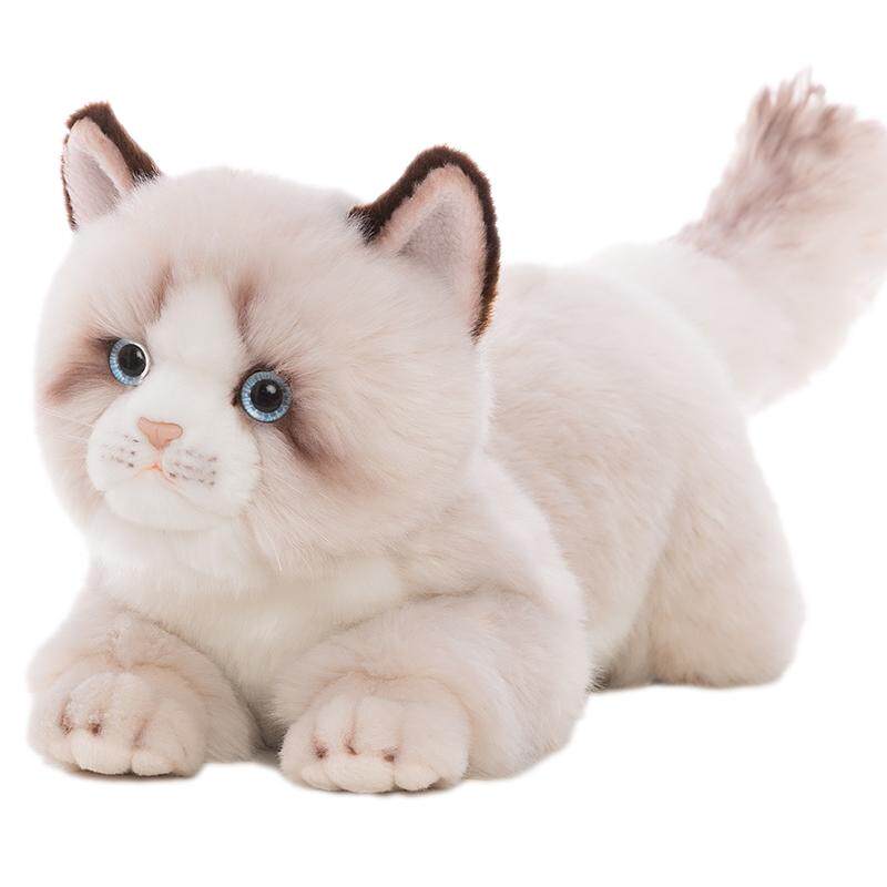 科迈特布偶猫毛绒玩具