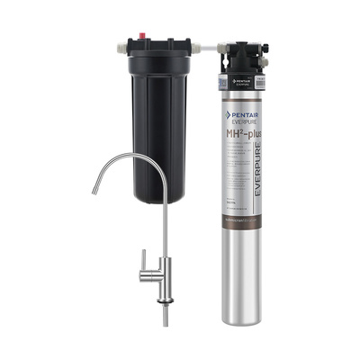 爱惠浦商用MH2Plus单双联净水器