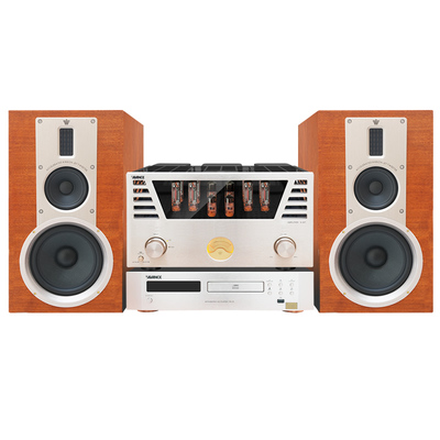 丹麦音响AVANCE发烧630胆机