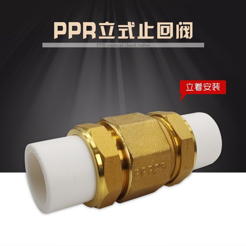 加厚黄铜双活接热熔逆止单向ppr立式止回阀自来水管防倒流止逆阀