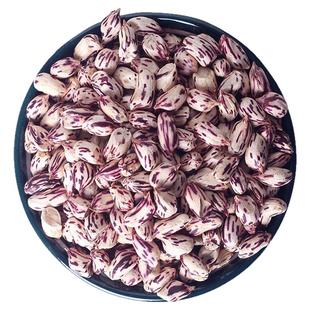 正宗云南七彩花生官方旗舰店新货现挖现发带壳带泥新鲜花生种子