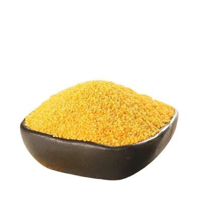 东北特产有机黄小米新米黑土地五谷杂粮小米粥养胃小米粥5斤装