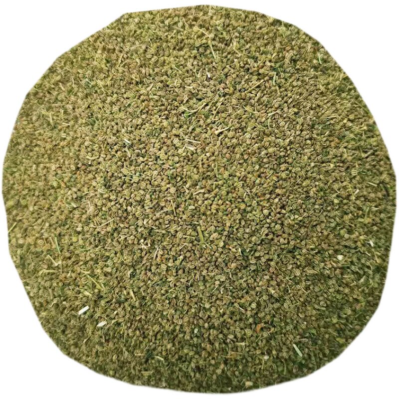 小香芹种子芹菜籽芹菜孑新鲜调料卤菜泡茶磨粉四季播蔬菜种子高产