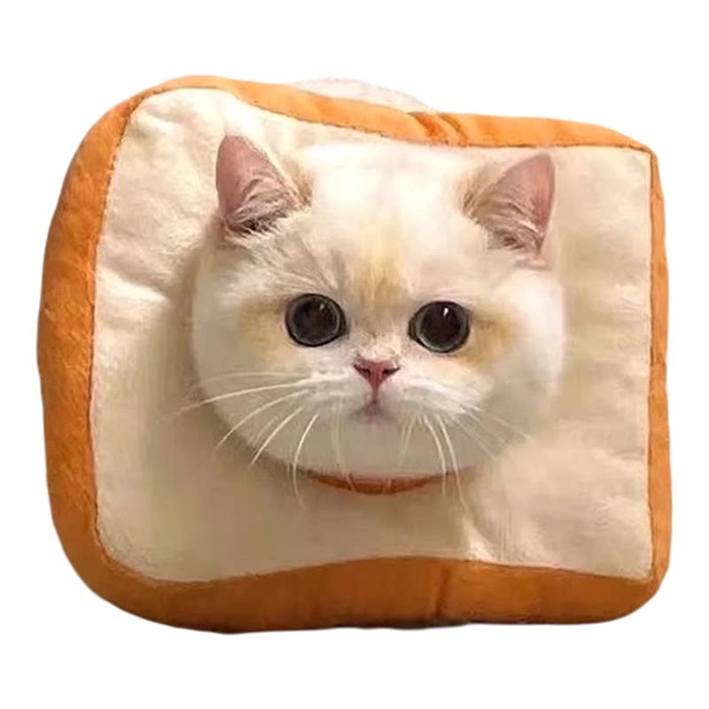小猫伊丽莎白圈可调节绝育脖圈