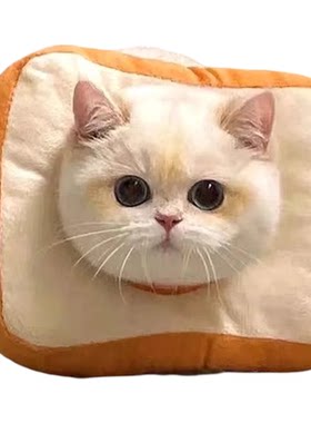 小猫伊丽莎白圈可调节绝育脖圈