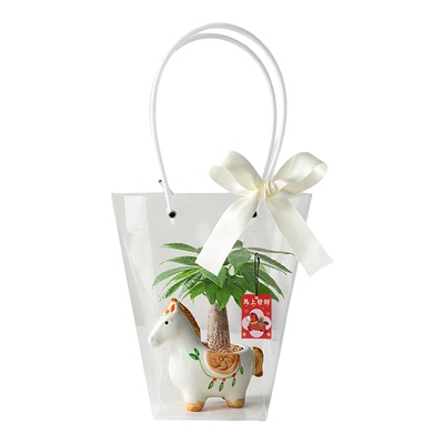 2026新款马上发财招财树盆栽