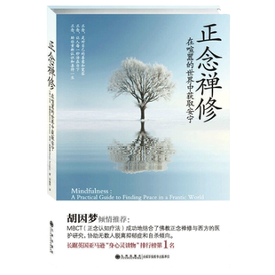 【当当网】正念禅修 (新版)“正念减压法”创始人乔·卡巴金作序 丹尼尔戈尔曼 胡因梦倾情推荐 正版书籍