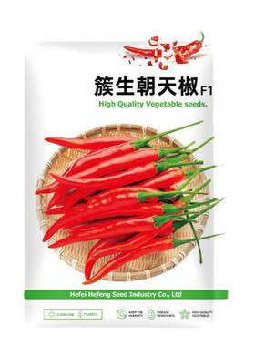 庆鲜庭四季种植朝天椒种子