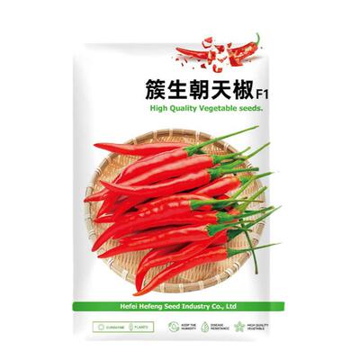 庆鲜庭四季种植朝天椒种子
