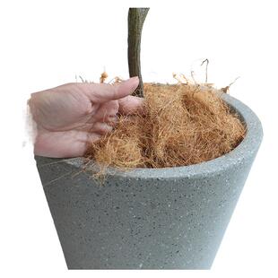 西西里仿真植物花盆搭配棕丝铺面覆盖层 空间绿植造景生态覆盖物