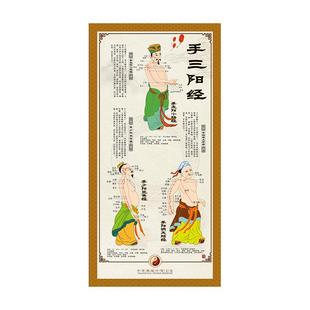 12人体经络中医养生馆十四经脉走向穴位十二宣传挂图子午流注挂画