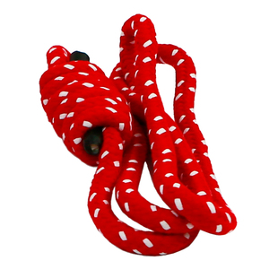 施颜艾扬格体系瑜伽辅助空中吊绳倒立反重力承重倒挂瑜伽墙绳