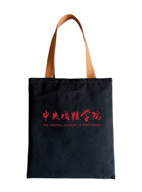 中国戏精学院印花拉链单肩帆布包