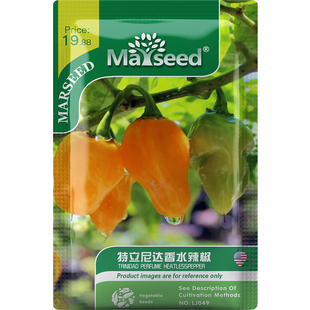 【新品推荐】进口传家宝特立尼达香水辣椒四季种植盆栽蔬菜种子籽