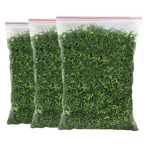 豆香春碧螺春绿茶2025茶叶自己喝批发明前毛尖罗春茶