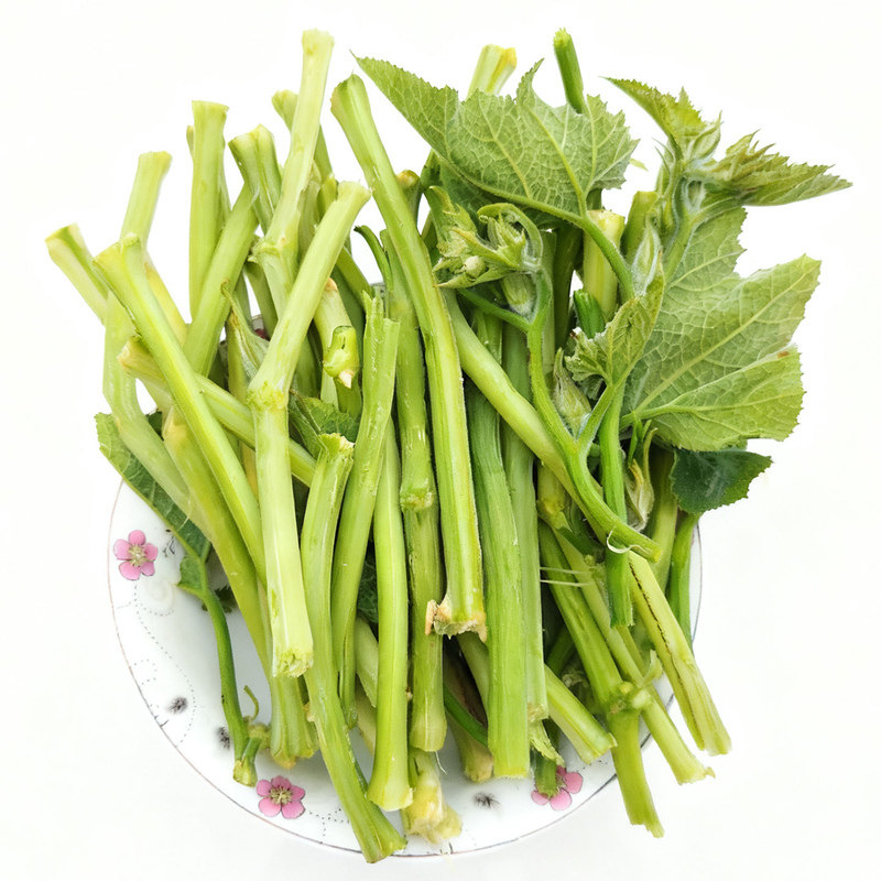 湖南新鲜南瓜藤当季蔬菜老瓜藤