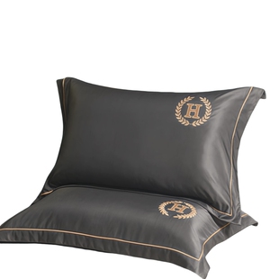 夏季水洗一对装丝枕套单人48x74凉感2024新款内胆夏套一只装夏日