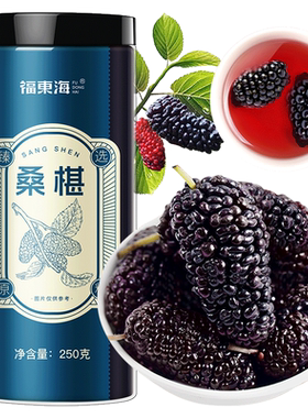 福东海新疆桑椹大果无沙黑桑葚子