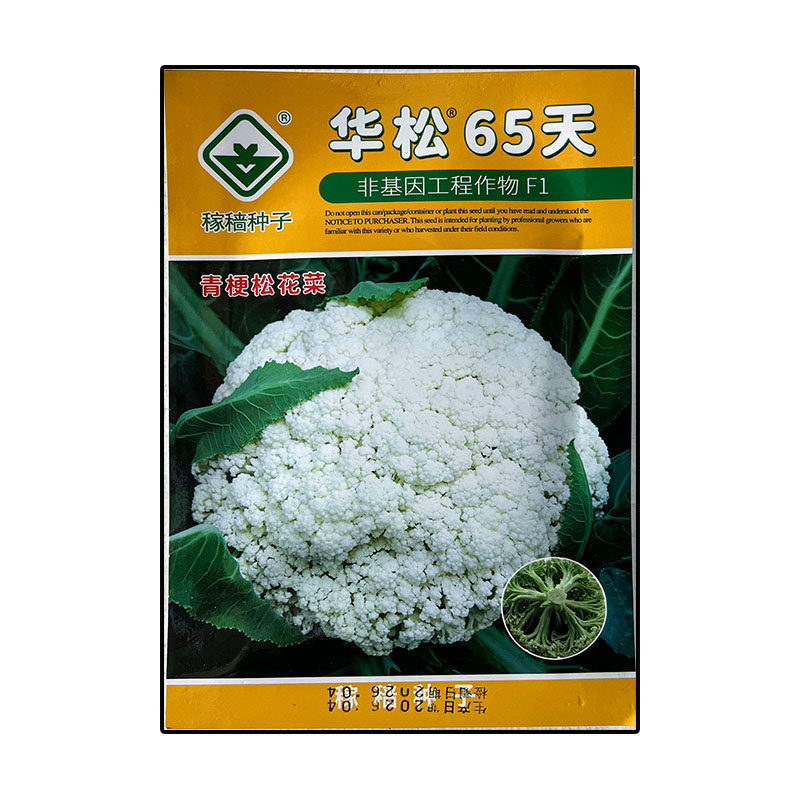 华松65天松花菜高产杂交菜蔬菜种子孑籽白散花菜别名甘蓝椰花洋花