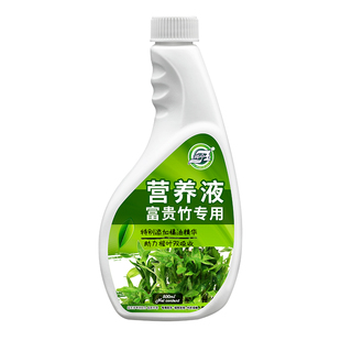 富贵竹专用营养液专治黄叶烂根转运竹龙竹观音竹水培花卉绿植肥料