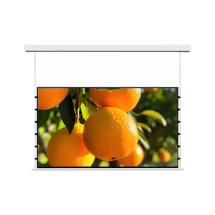 隐藏嵌入式投影幕布菲涅尔4K家用抗光高清电动拉线幕布自动升降布幕壁挂小白盒光子悬浮100寸120寸投影仪幕布