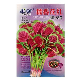 花红苋菜种子圆叶青苋菜籽全红苋菜春秋冬四季播种蔬菜抗寒易种植